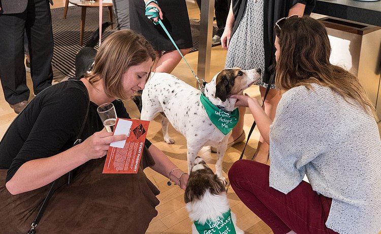 Guests petting and enjoying dogs at the event.