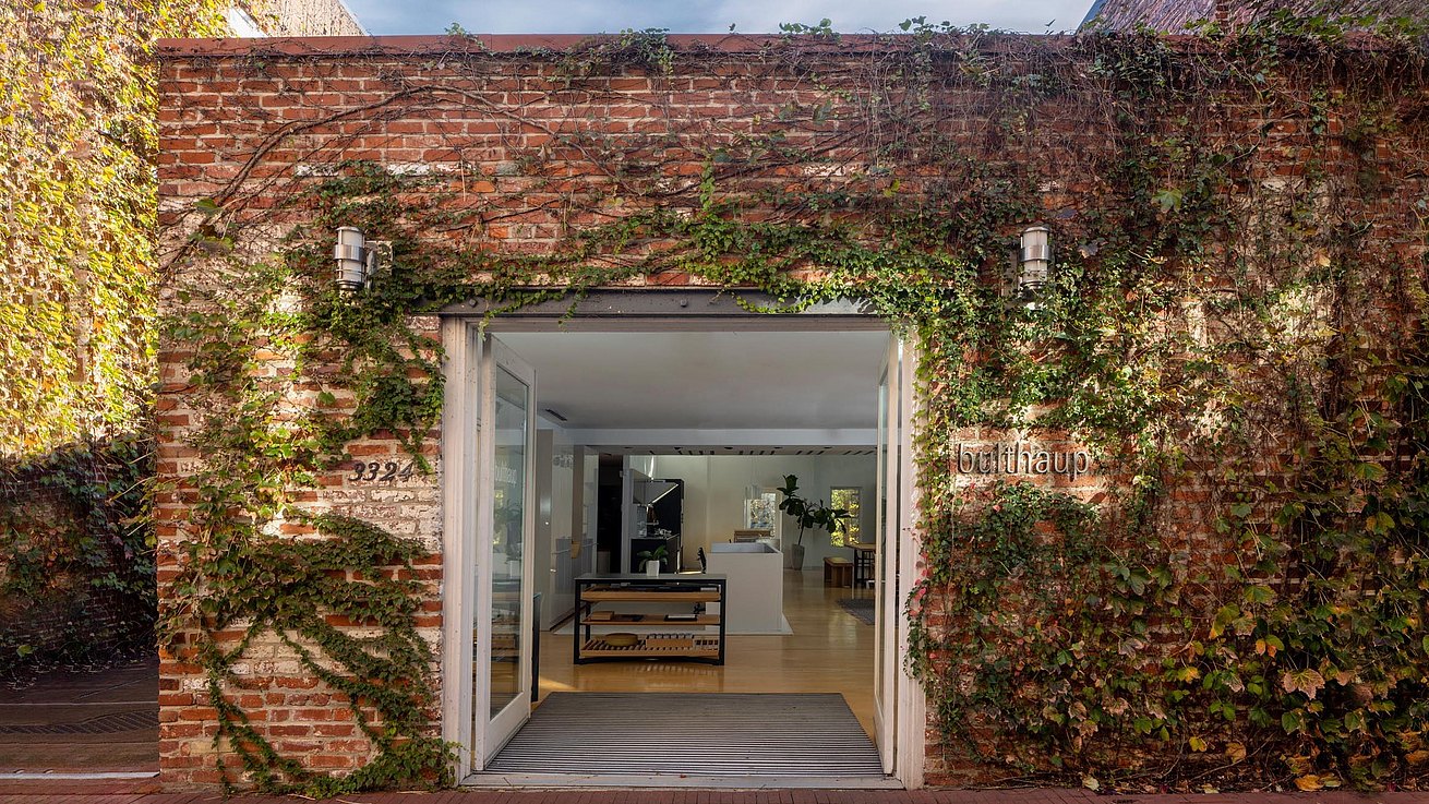 Brick wall with vines with view of interior